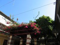 160-Markthalle Funchal