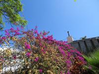 166-Besuch des Kräutergartens