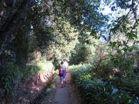 172-Levada-Wanderung