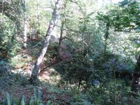 174-Wanderung entlang der Levada