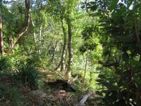 175-Fakultative Wanderung