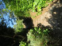 176-Weg entlang der Levada