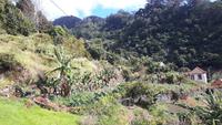 Levada-Wanderung oberhalb des Tals von Machico