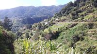 Levada-Wanderung oberhalb des Tals von Machico
