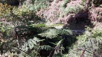 Levada-Wanderung oberhalb des Tals von Machico
