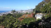 Funchal - Botanischer Garten