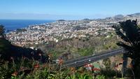 Funchal - Ausblick vom Botanischen Garten...