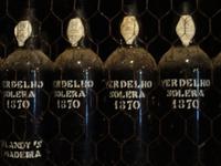 Funchal - Weinkeller Blandy's, die ältesten Flaschen Madeira Wein