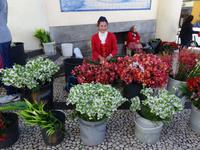 Markthalle von Funchal