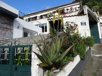 Entlang der Levada von Marocos - Aloe Vera