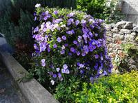 Entlang der Levada von Marocos - yesterday, today und tomorrow