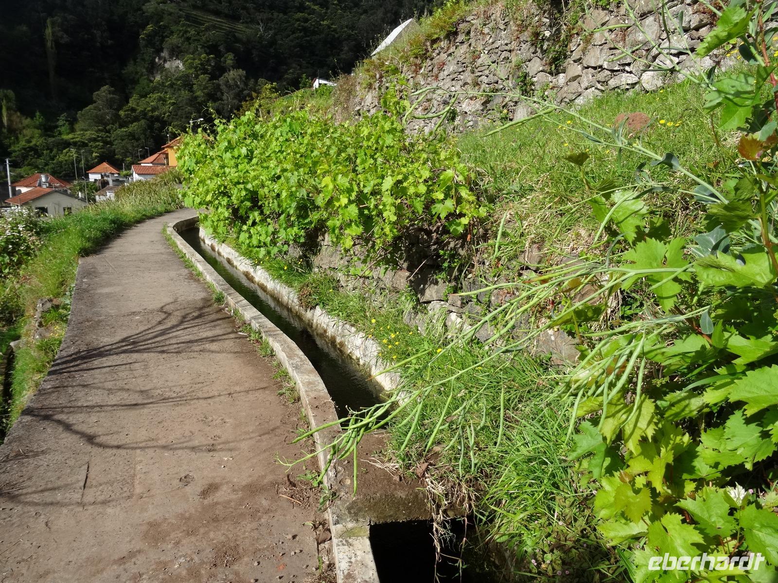 Entlang der Levada von Marocos 