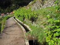 Entlang der Levada von Marocos 