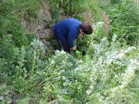 Entlang der Levada von Marocos - harte Arbeit