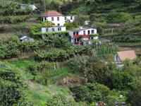 Entlang der Levada von Marocos 
