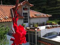 Entlang der Levada von Marocos - Kürbisse auf dem Dach