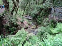 Levada Furado mit Aussichtspunkt Balcoes 