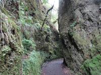 Levada Furado mit Aussichtspunkt Balcoes 