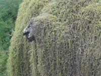 Porto Moniz - einfach nur schön