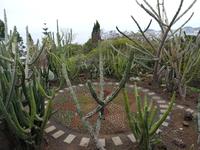 der botanische Garten von Funchal 