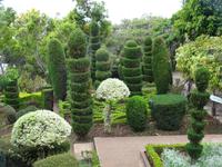 der botanische Garten von Funchal 