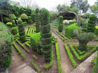 der botanische Garten von Funchal 