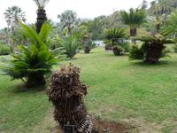 der botanische Garten von Funchal 