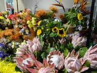 Markthalle von Funchal