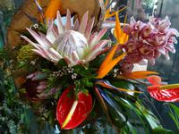 Markthalle von Funchal