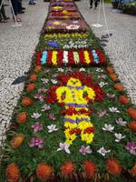 Funchal - Blumenfestatmosphäre