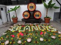 Funchal - Weinkeller Blandy's