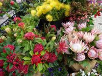 Funchal - Blumenfestatmosphäre