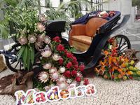 Funchal - Blumenfestatmosphäre