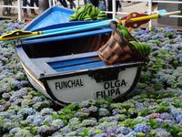 Funchal - Blumenfestatmosphäre