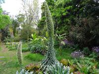 Quinta Boa Vista - der Stolz der Kanaren