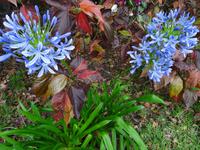 Quinta Boa Vista - der Stolz Madeiras