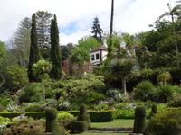 Anwesen der Familie Blandy = Quinta do Palheiro 