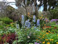 Anwesen der Familie Blandy = Quinta do Palheiro 