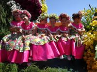Festumzug zum Blumenfest 2019 in Funchal