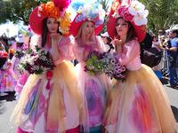 Festumzug zum Blumenfest 2019 in Funchal