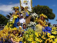 Festumzug zum Blumenfest 2019 in Funchal