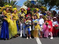 Festumzug zum Blumenfest 2019 in Funchal