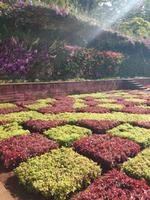 Botanischer Garten Funchal