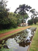 Teichanlage Palheiro