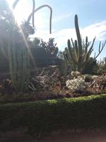 Botanischer Garten Funchal