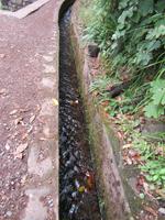 Kleine Levada-Wanderung