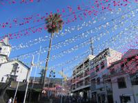 Blumenschmuck Estreito