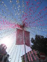 Blumenschmuck Estreito