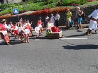 Festumzug mit Korbschlitten