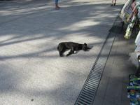 Madeirensische Gemütlichkeit